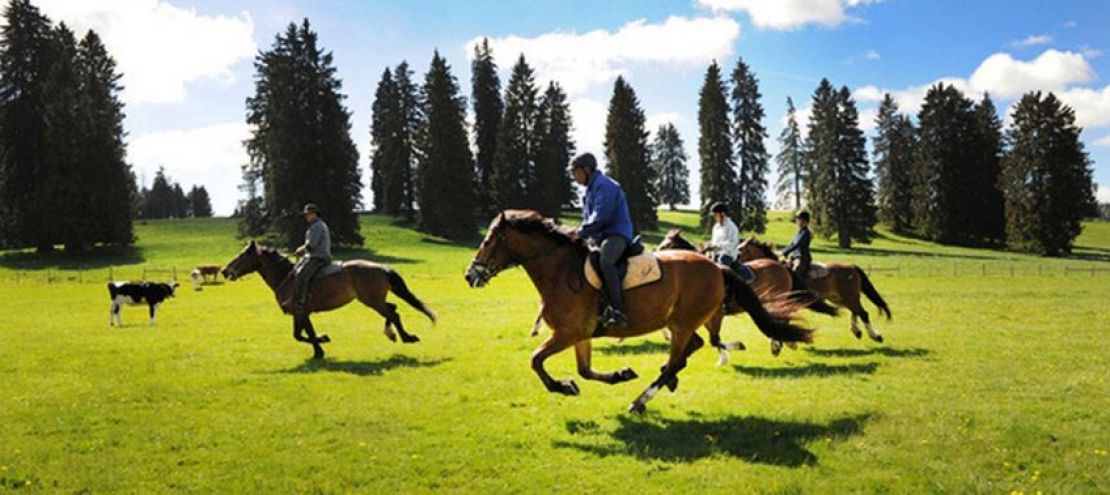 Possibilité de faire de l'équitation